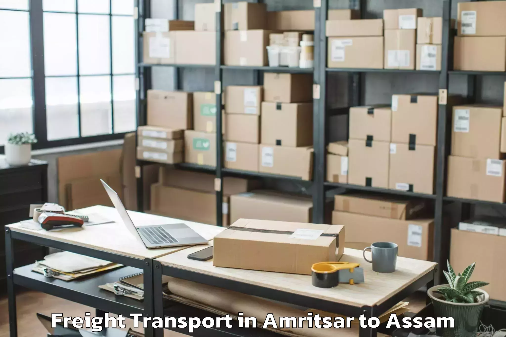 Trusted Amritsar to Mikirbheta Freight Transport